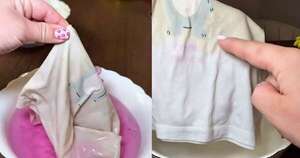 La Nación / Este truco casero con solo dos ingredientes blanquea la ropa blanca