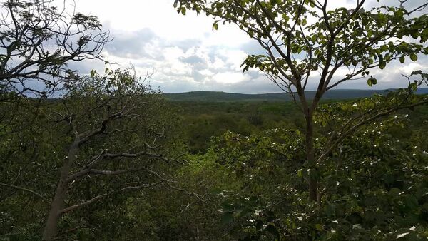 Parque Nacional Defensores del Chaco clausurado temporalmente tras hallazgo de Beinot