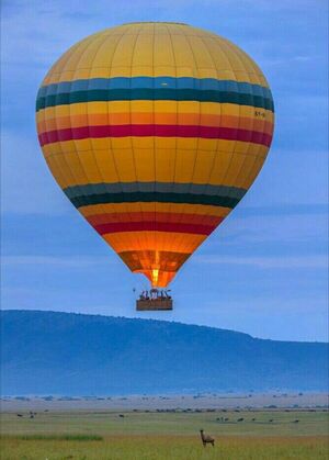 Todo lo que necesitás saber para disfrutar del paseo en globo en la Expo Yguazú