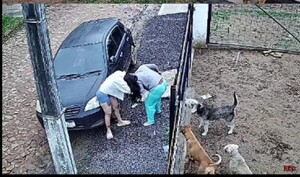 Popular / Animalera y su vecina se agarraron a trompadas y arañazos por culpa de un jagua