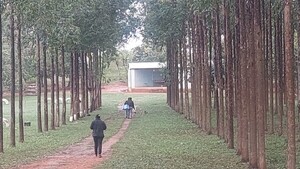 Se intensifica recorrido para detectar casos de sarampión