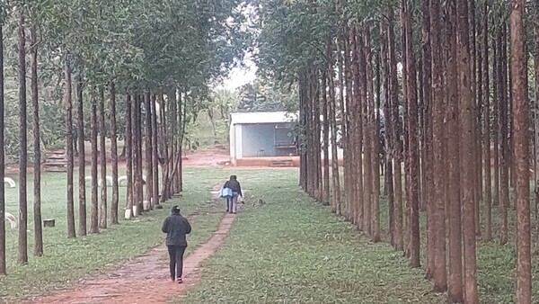 Se intensifica recorrido para detectar casos de sarampión
