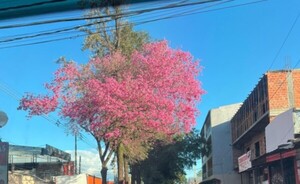 Se espera una jornada fría a fresca para este sábado