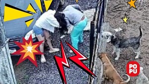 Popular / (VIDEO) Denuncia a modelo animalera: "Me agredió estando embarazada"