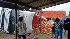 Remansito: Camión que transportaba ladrillos volcó por evitar chocar contra una moto