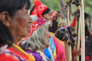 Reconocimiento global a las comunidades indígenas en el Día Internacional de los Pueblos Indígenas - Concepción al Día