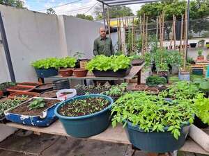 Ayolas: la huerta familiar urbana, una alternativa económica para el hogar - Nacionales - ABC Color