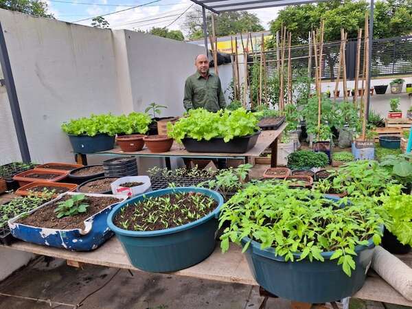 Ayolas: la huerta familiar urbana, una alternativa económica para el hogar - Nacionales - ABC Color