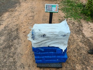 Detectan importante punto de acopio de marihuana en Villa Ygatimí