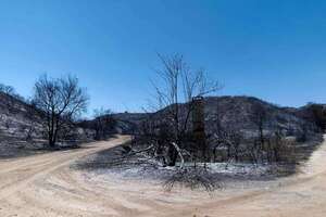 Incendios forestales avanzan en California, aunque Los Ángeles quita orden de evacuar - Mundo - ABC Color