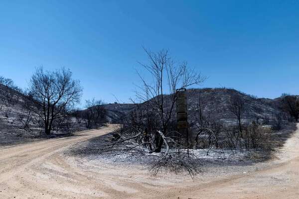 Incendios forestales avanzan en California, aunque Los Ángeles quita orden de evacuar - Mundo - ABC Color