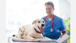 ¿Cada cuánto debe ir tu mascota al veterinario?