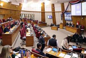 Diputados insistirán en aniquilar ley de acceso a la información - Política - ABC Color