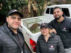 RESCATAN A UN MONO TRAS DENUNCIA SOBRE MALTRATO ANIMAL