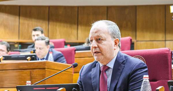 La Nación / Para asegurar buen futuro económico, se debe aprobar paquete de leyes, dice ministro