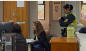 Prisión preventiva para Paola Fernández Giménez por crimen de Aguapety - OviedoPress