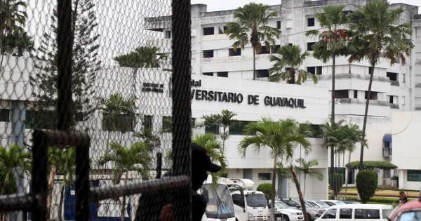 La Nación / Investigan la muerte de doce recién nacidos en hospital de Ecuador