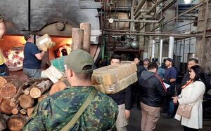 Magistrados supervisaron destrucción de más de 1.900 kilos de marihuana incautada