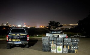 Incautan 520 kilos de marihuana a orillas del río Paraná 