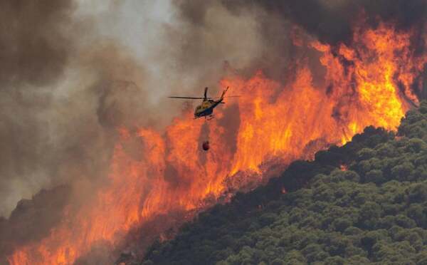 Incendios forestales arrasan en España y deja un muerto - ADN Digital