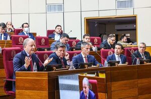 Gobierno expuso en el Congreso su plan para ensamblar en Paraguay productos importados de China - El Trueno