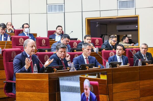 Gobierno expuso en el Congreso su plan para ensamblar en Paraguay productos importados de China - El Trueno