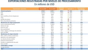 Exportaciones de carne crecen 29% y sobresale entre los demás rubros