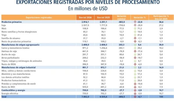 Exportaciones de carne crecen 29% y sobresale entre los demás rubros