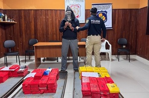 Decomisan más de 285 kilos de supuesta cocaína en Concepción
