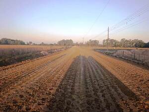 Pilar transforman su infraestructura sanitaria y vial con obras clave - .::Agencia IP::.