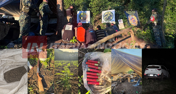 OPERATIVO DESMANTELA CENTRO DE PRODUCCIÓN DE MARIHUANA EN OBLIGADO