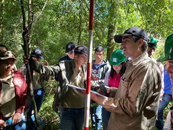 El Infona habilita inscripciones para la formación de nuevos técnicos forestales - .::Agencia IP::.