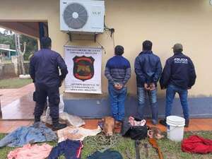 Víctimas de abigeato piden mayor control a la Policía Nacional tras aumento de casos - Nacionales - ABC Color