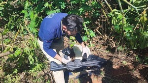 Incautan armas de guerra durante operativo en Canindeyú