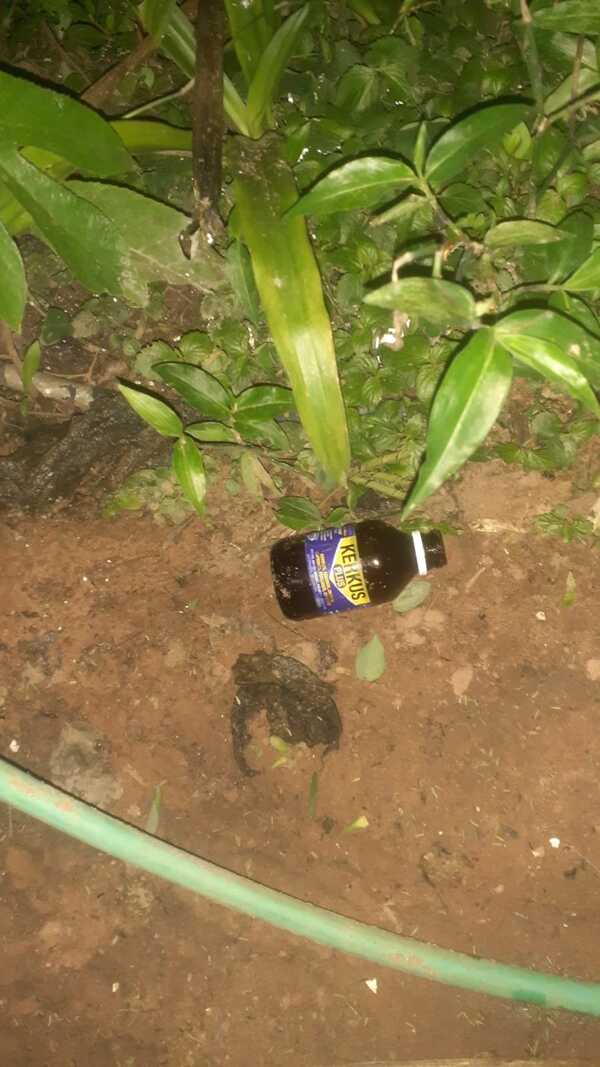 Popular / Mujer se suicidó inhalando veneno hógape