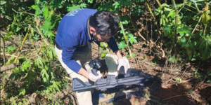 Dos fusiles de asalto fueron encontrados en bosque de Canindeyú - ADN Digital