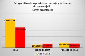 Merma en los envíos de soja y bajos precios ocasionaron USD 751 millones menos en ingreso de divisas