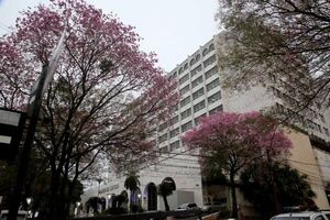 Pausa temporal de servicios judiciales por renovación de servidor
