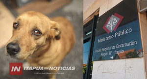 MUJER FUE IMPUTADA TRAS DEJAR ENCERRADAS A SUS MASCOTAS SIN ALIMENTO