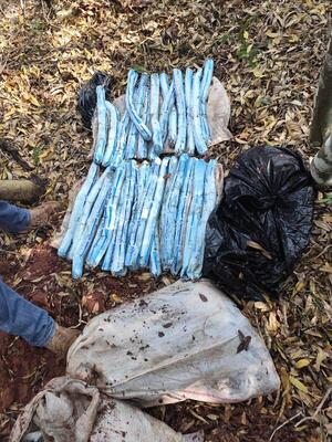 Hallan 25 explosivos del EML en búsqueda de Félix Urbieta