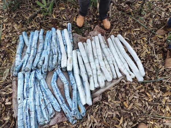 Video: hallan caleta con explosivos en Concepción en operativo de búsqueda de Félix Urbieta - Policiales - ABC Color