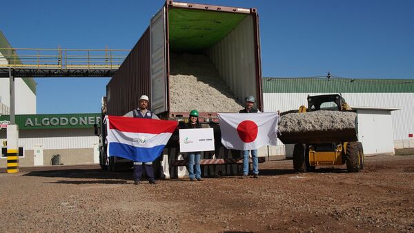 Paraguay concreta histórica exportación de semilla de algodón a Japón