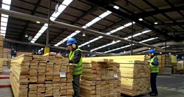 La Nación / Exportaciones forestales lograron en julio su mejor registro del año