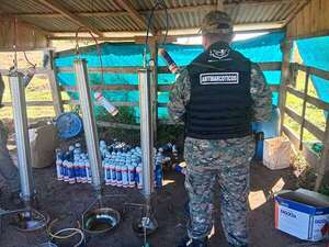 Crece producción de marihuana a falta de  cultivos alternativos - Policiales - ABC Color