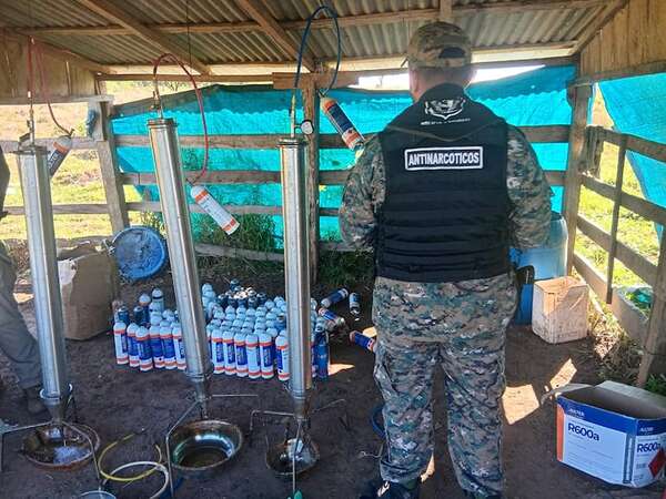 Crece producción de marihuana a falta de  cultivos alternativos - Policiales - ABC Color