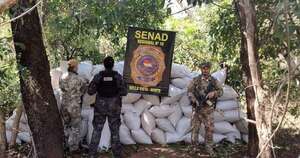Diario HOY | Detectan más de 6,5 toneladas de marihuana en campamento narco