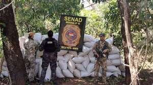 Senad destruye campamento narco y más de 6,5 toneladas de marihuana en Amambay