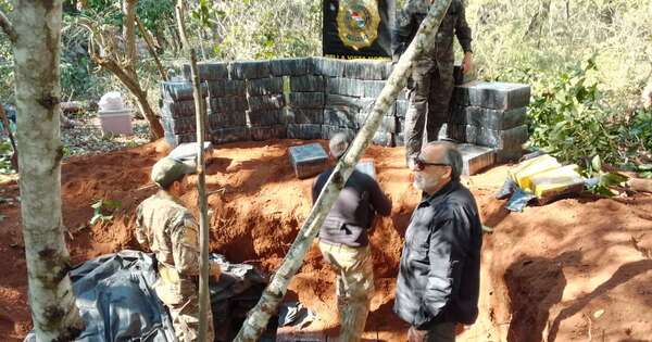 La Nación / Senad desmantela megabase narco en plena reserva natural e incauta 1,7 toneladas de marihuana