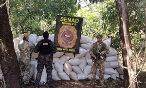 Droga enterrada y bajo carpas: así ocultaban 6,5 toneladas de marihuana en Amambay - OviedoPress