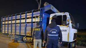 DNIT retiene 10 caballos de raza de Argentina que iban rumbo a la jineteada en Asunción